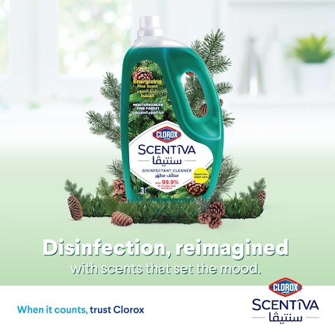 Clorox Scentiva Disinfectant Floor Cleaner, Mediterranean Pine Forest, 3L