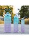 Water Bottles Pack of 3   With Handle Time Markings   BPA Free Non-Toxic Unstoppable Hydration   Straw &amp; lock   leakproof for Gym Fitness Sports &amp; Outdoor Activities   2000ml+900ml+500ml (Blue)