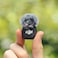 DJI Mic 3 (2 TX + 1 RX + Charging Case), Wireless Microphone for iPhone/Camera/Android, Adaptive Gain Control Balanced Volume, Dual Band Anti-Interference, 28h Use, UAE Version with Official Warranty   Mini mic iPhone/Camera/Android, Ultralight, Adaptive Gain Control, Dual Band Anti-Interf., 28 Hours Use, Vlog