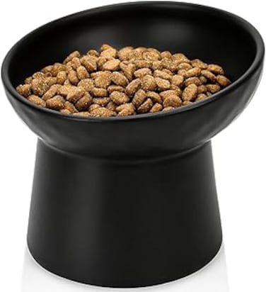 Caroyee Raised Cat Bowl Black, Elevated Cat Food Bowls with Tilted Angle, Stress Free, Anti Vomiting, Ceramic Water Bowl for Cats Small Dogs Feeding Dish, 8 Ounces