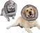 Pet Cone for Small Dogs and Cats,Cat Cone Collar Soft to Stop Licking,Extra Soft Dog Cone Alternative After Surgery,Soft Dog Cones for Large Medium Small Dogs-Adjustable 13.4"-15.7" Recovery Cone L