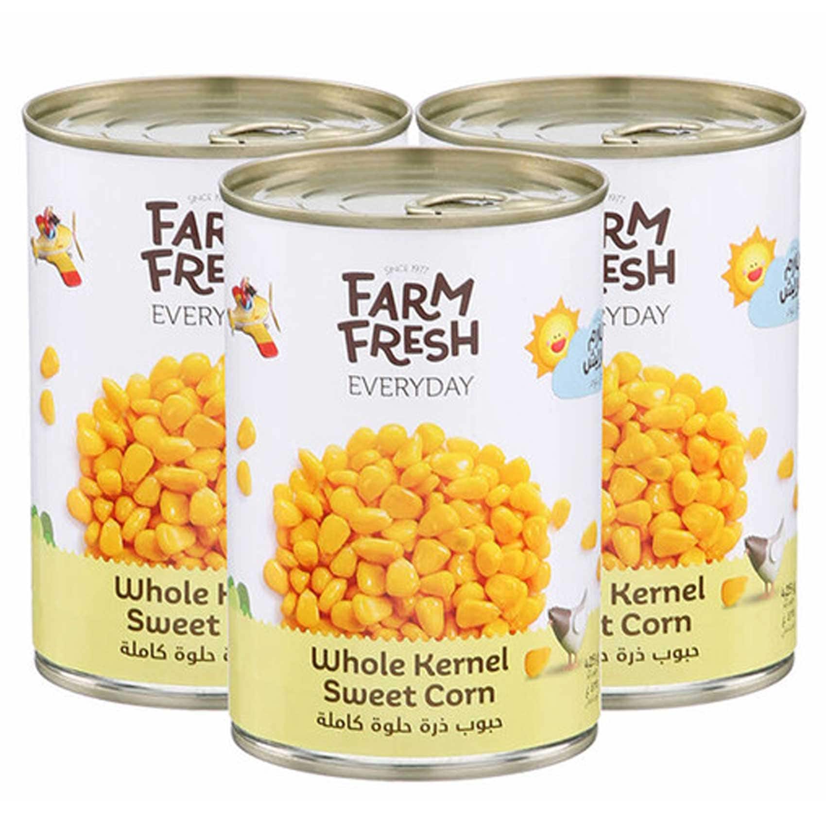 Buy Farm Fresh Whole Kernel Sweet Corn, 425g Pack of 3 Online ...