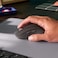 Logitech Signature M650 Wireless Mouse with SmartWheel and SilentTouch, Graphite