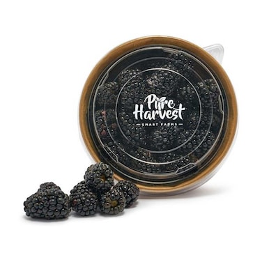 Blackberry UAE 175g