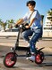WINDHORSE Premium Quality Adult Folding Electric Bike with 350W Brushless Motor, 36V 8AH Battery, Carbon Alloy Frame, 14-Inch Tires, Dual Disk Brake, 35KM Range in Single Charge