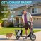 WIND HORSE C2 Adult Foldable Electric Scooter, 450W Brushless Hub Motor, 36V 8AH Battery, 25-35 KM/h Speed, Carbon Alloy Frame, Disk Brakes, 12.5&rdquo; Tires, Rear Basket, Unisex E-Scooter with Seat