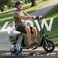 WIND HORSE C2 Adult Foldable Electric Scooter, 450W Brushless Hub Motor, 36V 8AH Battery, 25-35 KM/h Speed, Carbon Alloy Frame, Disk Brakes, 12.5&rdquo; Tires, Rear Basket, Unisex E-Scooter with Seat