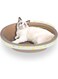 Coclux 10pcs Oval Cat Scratcher Lounge Cardboard Scratch Pad Large Cats Bed Scratching Box with Catnip, Furniture Protection Training Cat Toy