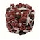 Fromage Chevre Enrobes Cranberry 80g