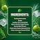 Alokozay Apple Mint Flavoured Drink, 250ml, Pack of 6