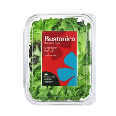 Bustanica Spring Mix Salad 100g