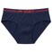 HINT Men Cotton Briefs, Multi Color, HM-SBC3, M-3XL, Pack of 3