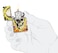 Zippo 48640 49193 Skull Design Glow In The Dark Windproof Lighter