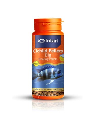 Growel Intan Cichlid Pellets (Big 3mm Floating)   60gm - Highly Nutritious Ornamental Fish Food for all varieties of Small &amp; Big Cichlids