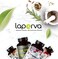 Laperva Water Cut 60 Veggie Capsules   Natural Diuretic, Water Retention Relief, Bloating Reduction, Fluid Balance, Detox Support &amp; Weight Management