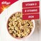 Kellogg's Granola Mixed Fruit with Coconut Cereal, 340g