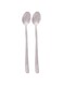 Royalford Stainless Steel Ice cream Spoon Set, 2 pieces, RF8667