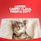 Resolve High Traffic Carpet Foam, 22 Oz Can, Cleans Freshens Softens &amp; Removes Stains