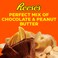 Reese's Peanut Butter &amp; Chocolate Nut Bar 47g  Pack of 3