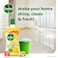 Dettol Antibacterial Floor Cleaner Lemon Scent, 900ml Pack of 2