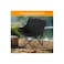 Portable Folding Camping Chair Heavy Duty 240lbs Moon Chair Outdoor Fishing Beach Seat Pockets Black