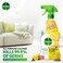 Dettol Spray Bundle (Kitchen, Bathroom, All Purpose, Mold and Mildew Cleaner) 500ml Pack of 4