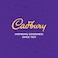 Cadbury Dairy Milk Minis Milk Chocolate 168g Pack of 2