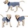 Dog Recovery Suit Cats Bodysuits for Abdominal Wounds Recovery Shirt for Male Female Pet Surgical Snugly Suit After Surgery Anti-Licking Dog Onesies, Substitute E-Collar &amp; Cone Medium