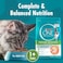 Purina One Indoor Advantage with Chicken Cat Food, 1 Years and above, 380g