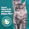 Purina One Indoor Advantage with Chicken Cat Food, 1 Years and above, 380g