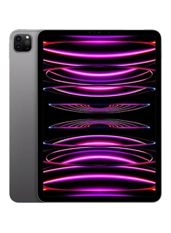 apple Apple iPad Pro 2022 4th Gen 2000GB 11 inch