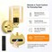 Battery Operated Wall Sconces Set of 2, 8000mAh Rechargeable Wall Lights with Remote, 3-Colour Dimmable LED Wall Lamps with Timer, Wireless Wall Lights for Bedroom Living Room Hallway, Gold
