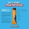 Barebells Vegan Salty Peanut Protein Bar 55g 