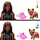 Barbie Color Reveal Neon Tie-Dye Giftset Asst. (3)