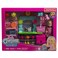 Barbie Chelsea Can Be Toy Store Playset With Small Blonde Doll, Shop Furniture &amp; 15 Accessories