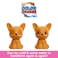 Barbie Cutie Reveal Costume-Themed Series Chelsea Small Doll &amp; Accessories, Puppy As Frog
