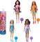 Barbie Color Reveal Rainbow-Inspired Series Doll &amp; Accessories with 6 Surprises, Color-Change Bodice