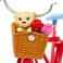Barbie Doll &amp; Bike Playset