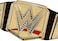 حزام بطولة WWE من ماتيل، حزام لعب الأدوار مع حزام قابل للتعديل للأطفال