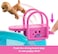 Barbie Barbie Dream Pool Playset