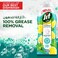 JIF Antibacterial Dishwashing Liquid Lemon &amp; Mint, 1275ml