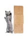 Cat Natural Sisal Rope for Scratching Post Tree Replacement, Pillar Hemp Rope for Repairing, Recovering or DIY Scratcher, 6mm Diameter, 10 Meters
