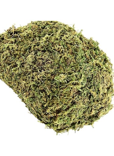 Ybaier Fake Moss for Potted Plants, Artificial Moss for Fake Plants, Faux Moss for Craft and Home Decor, Decorative Moss for Table Centerpieces Wedding Crafts Party Decor (300, Grams)