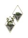 Umbra Trigg Hanging Planter Vase &amp; Geometric Wall Decor Concrete Container - Great For Succulent Plants, Air Plant, Mini Cactus, Faux Plants And More, Set Of 2, Small, Black/Brass