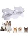 Armastuse 2 Pcs Cat Bowls Elevated Cat Food Water Bowls Set, 15&deg; Tilted Raised Cat Bowls, Anti Vomiting Cat Dish Pet Feeder Bowls with Stand for Indoor Cats and Small Dogs