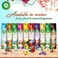 Air Wick Air Freshener, Vanilla Scent, 300ml Pack of 3