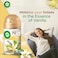 Air Wick Automatic Air Freshener Spray Refill, Vanilla Scent, 250ml Pack of 3