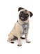 Kurgo Dog Harness   Pet Walking Harness   Car Harness for Dogs   Front D-Ring for No Pull Training   Includes Dog Seat Belt Tether   Tru-Fit Smart Harness   Gray   X-Small