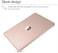 HP Laptop 14-DQ6015DX, 14" HD LED Display, Intel Celeron N150 Processor, 4GB DDR4 RAM, 128GB SSD, Intel Graphics, Windows 11, English Keyboard, Rose Gold, Microsoft 365,International Version