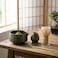 4-Piece Premium Matcha Tea Set - Deep Green